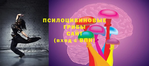 мяу мяу мука Баксан