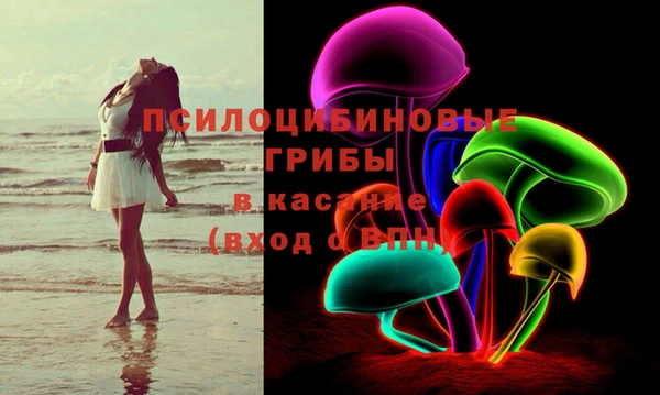 СК Семилуки