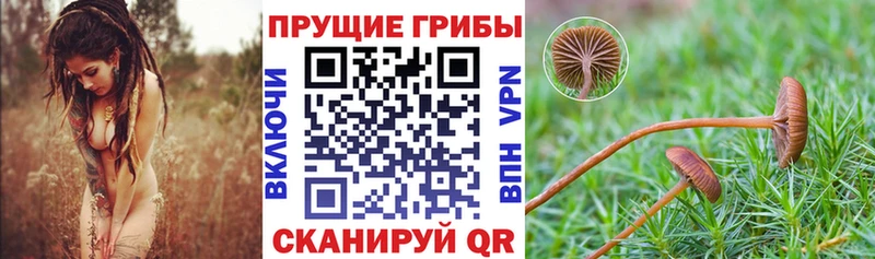 hydra tor  Красавино  Псилоцибиновые грибы мухоморы  продажа наркотиков 